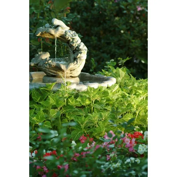 World Botanics Sunfighter Electric Lime coleusplanten 5 stuks