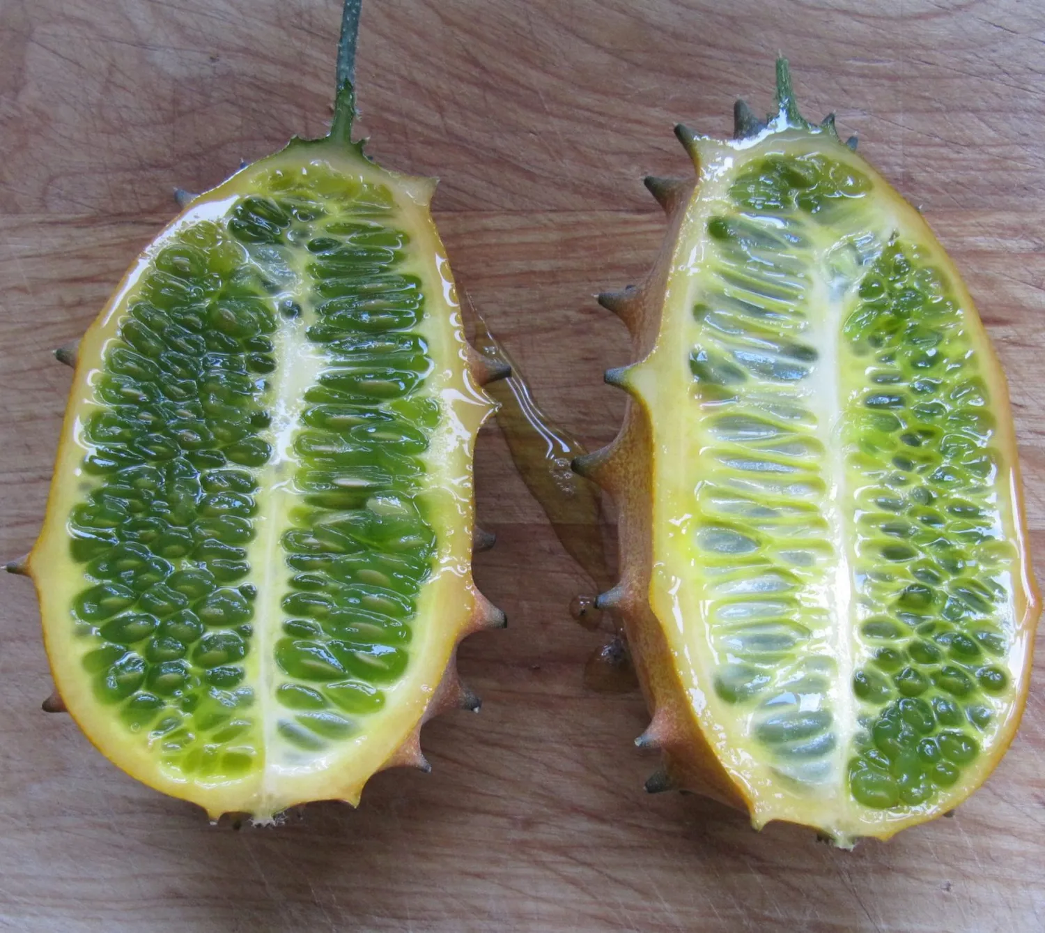 De Tuinen van MergenMetz Kiwano zaden ca. 10 stuks stekelvrucht