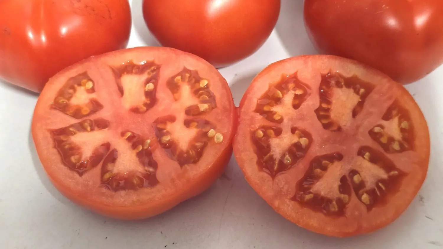De Tuinen van MergenMetz Tomaat Aurora tomatenzaden 15 stuks