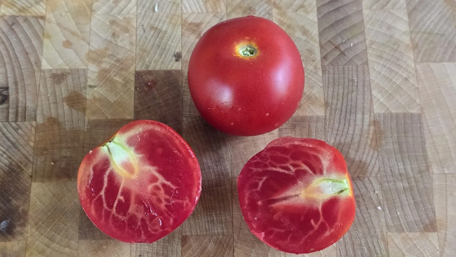 De Tuinen van MergenMetz Kampioen tomatenzaden onbespoten