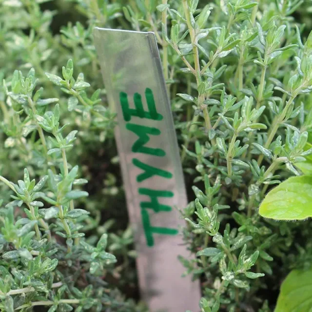 World Botanics aluminium plantenlabels 80 stuks 12,5 cm