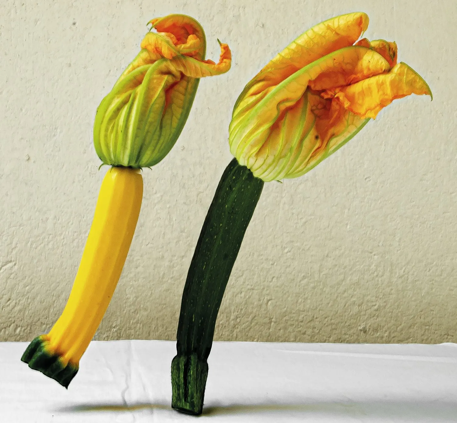 Meet Your Greens Het Paar courgetteprint A2+ geel-groen