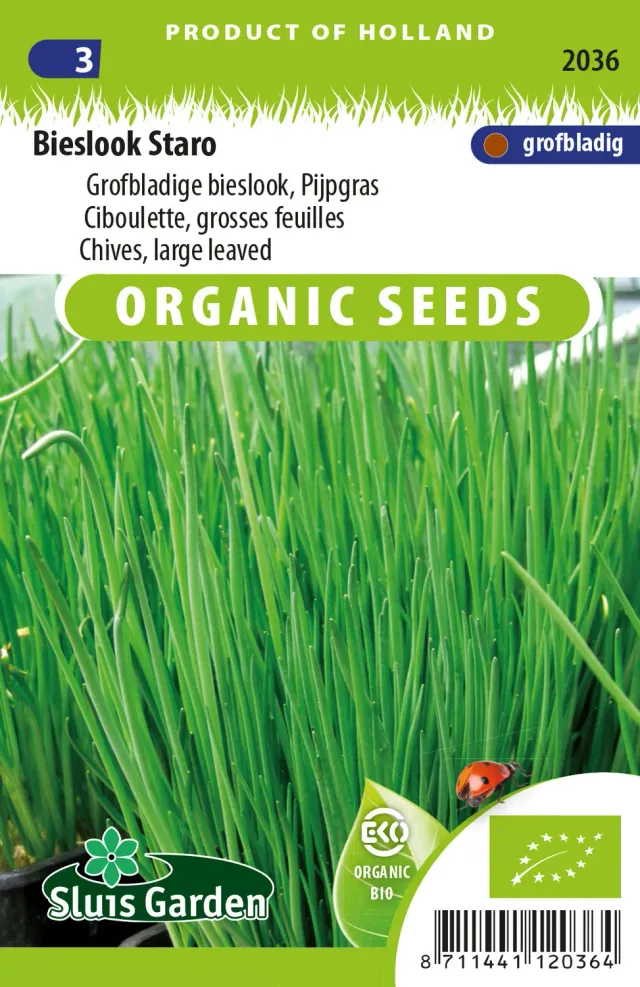 Sluis Garden Grove Staro bieslook zaden biologisch grofbladig