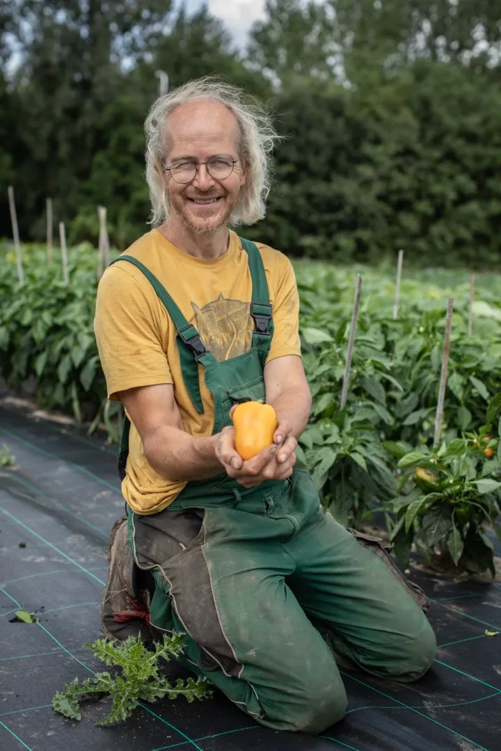Vitale Rassen Buiten-Paprika Martha zaden geel