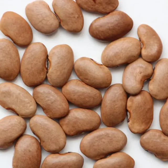 De Tuinen van MergenMetz Blue Coco stokboon zaden 20 stuks paarsblauw