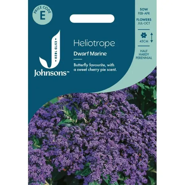 World Botanics Heliotrope Dwarf Marine bloemzaden paars