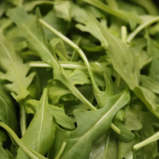 De Tuinen van MergenMetz Rucola Coltivata zaden 4 gr pittig