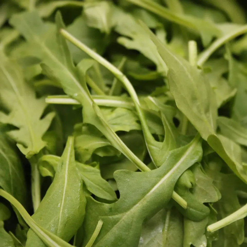 De Tuinen van MergenMetz Rucola Coltivata zaden 4 gr pittig