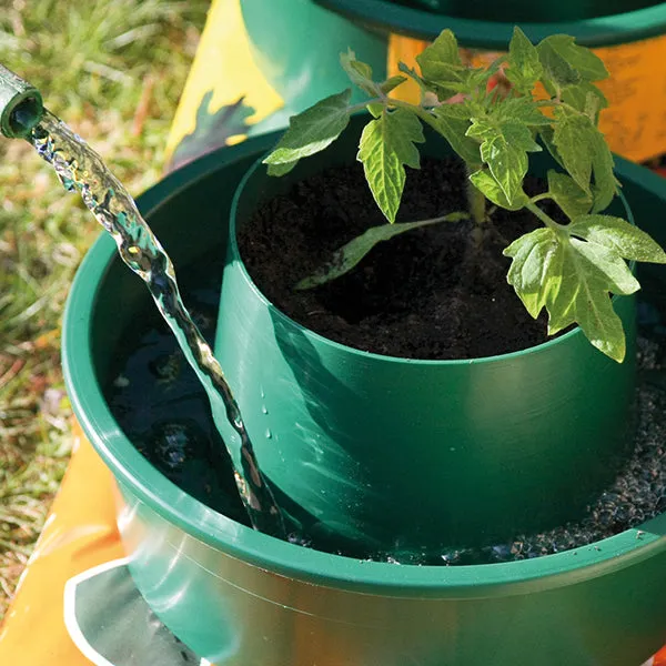 World Botanics Growpot Tomato kweekpotten 3 stuks