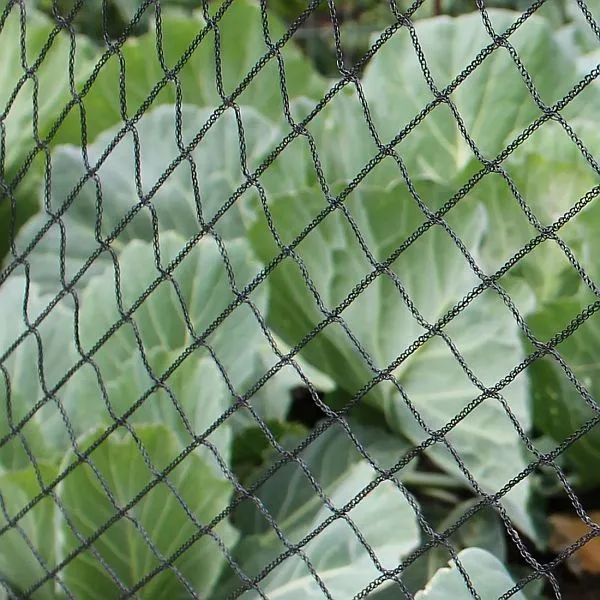 World Botanics vogelnet tuin 1 net 2 x 10 m zwart