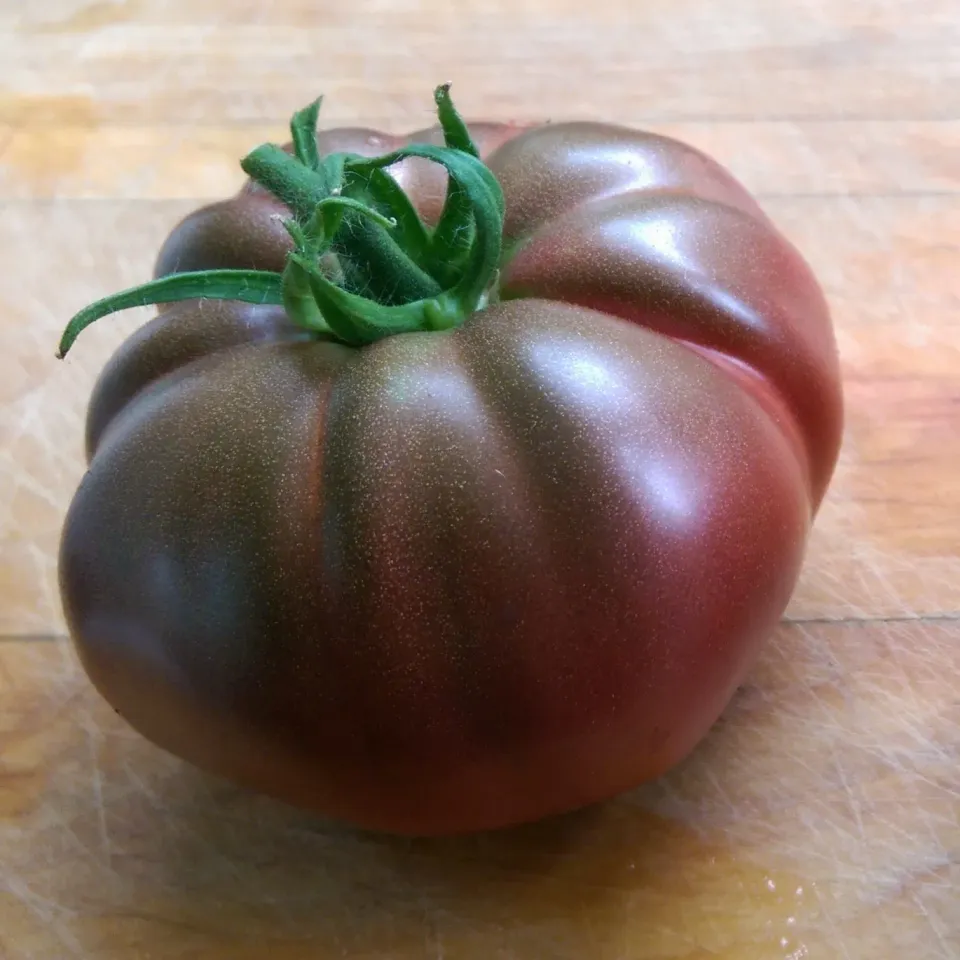 De Tuinen van MergenMetz Zwarte Russische tomatenzaden 15 zaden vleestomaat