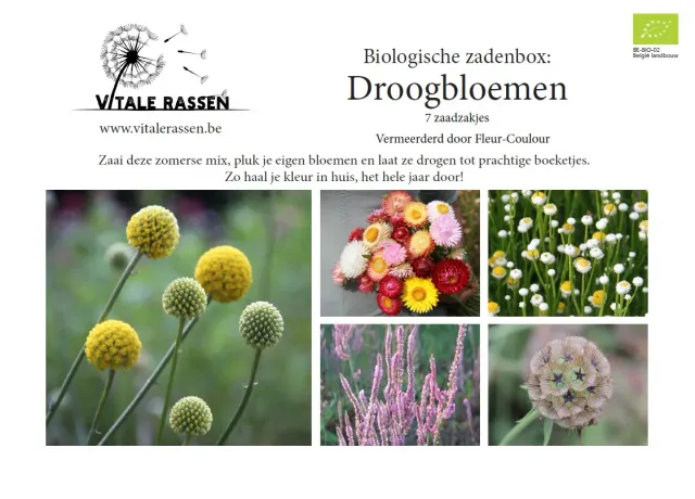 Vitale Rassen Zadenbox Droogbloemen bloemzaden set onbespoten