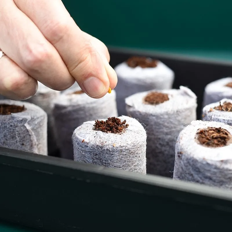 World Botanics Coco Grow kokostabletten x50 turfvrij