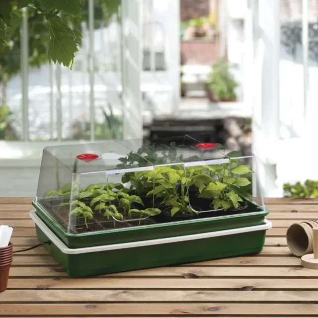 World Botanics Extra Large High Dome elektrische propagator 24W