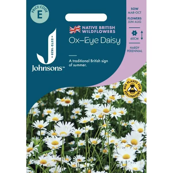 World Botanics Ox Eye Daisy margriet zaden wit