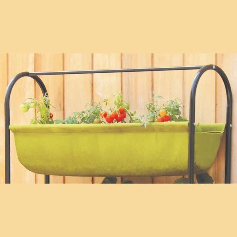 World Botanics Vigoroot Balcony Garden kweekrek luchtsnoei