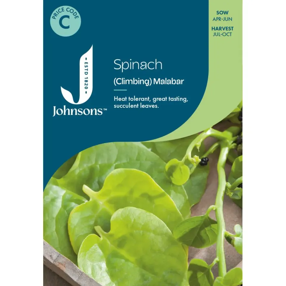 World Botanics Malabar Spinach spinaziezaden klimmend onbespoten