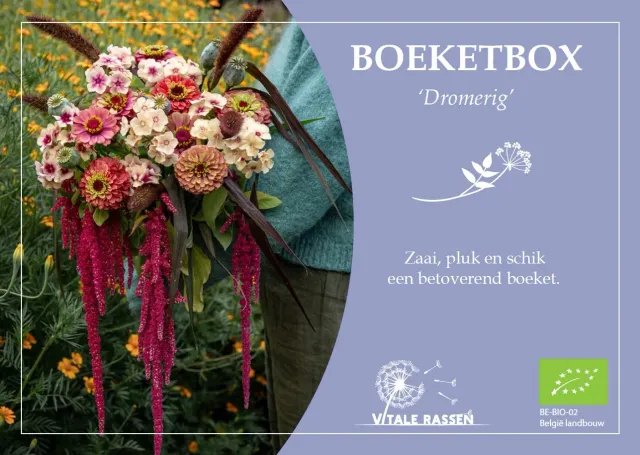 Vitale Rassen Boeketbox Dromerig zadenmix onbespoten