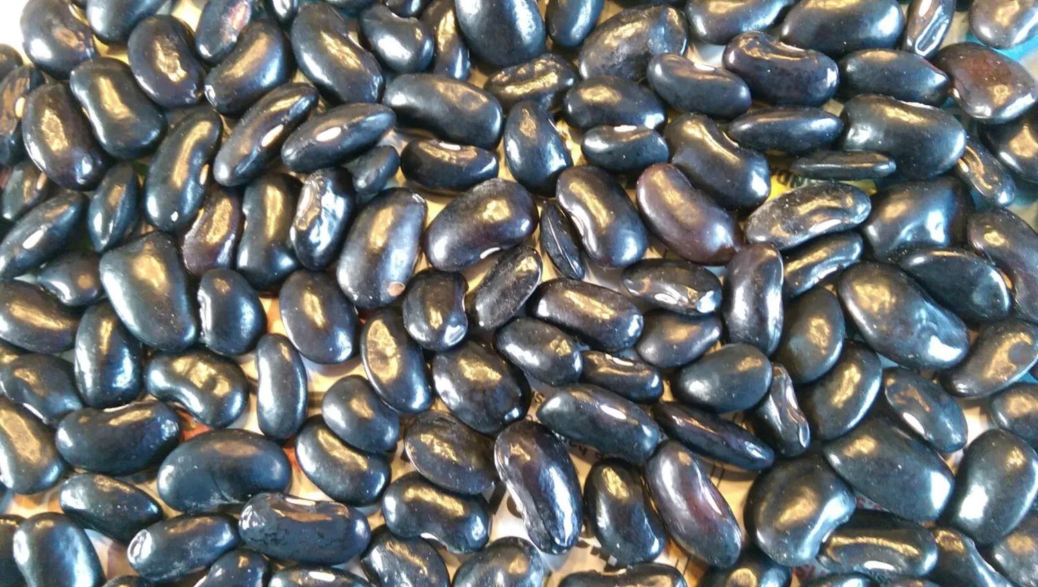 De Tuinen van MergenMetz Mrs Cannell’s Black pronkboon 15 zaden
