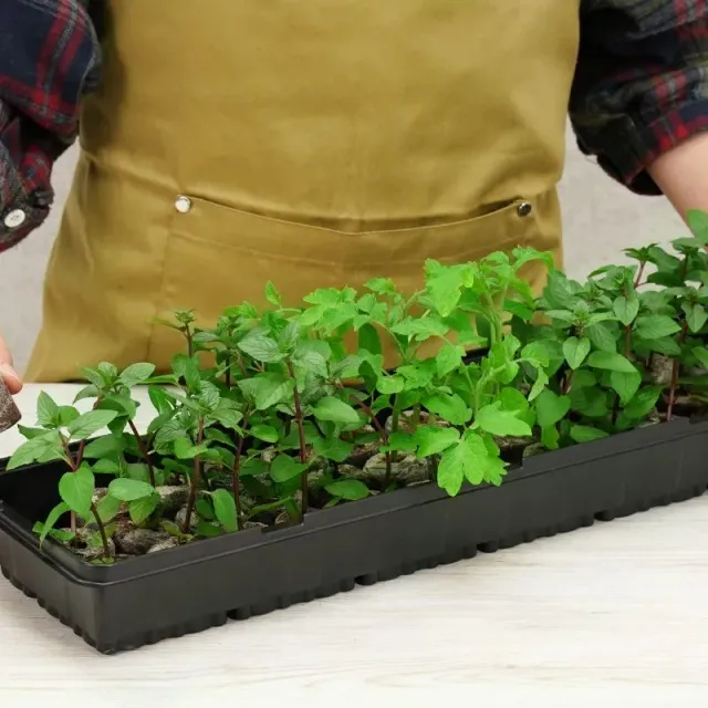 World Botanics Plantable Pellets kweekkas 36 planten