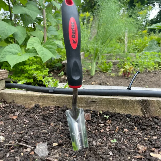 Darlac Rockery plantschepje rvs smal met dieptemarkering