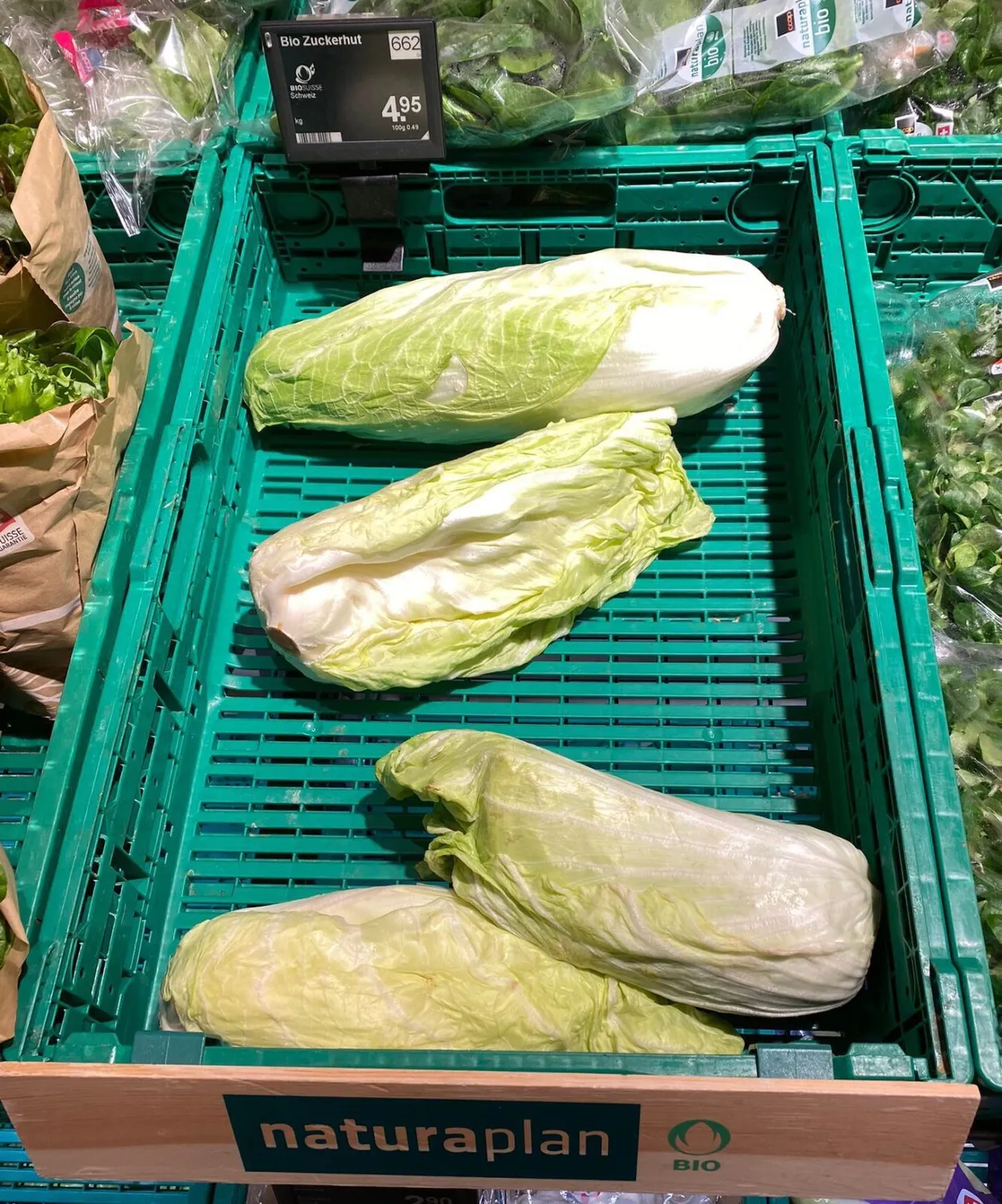 De Tuinen van MergenMetz Groenlof suikerijzaad 2 gram bitter