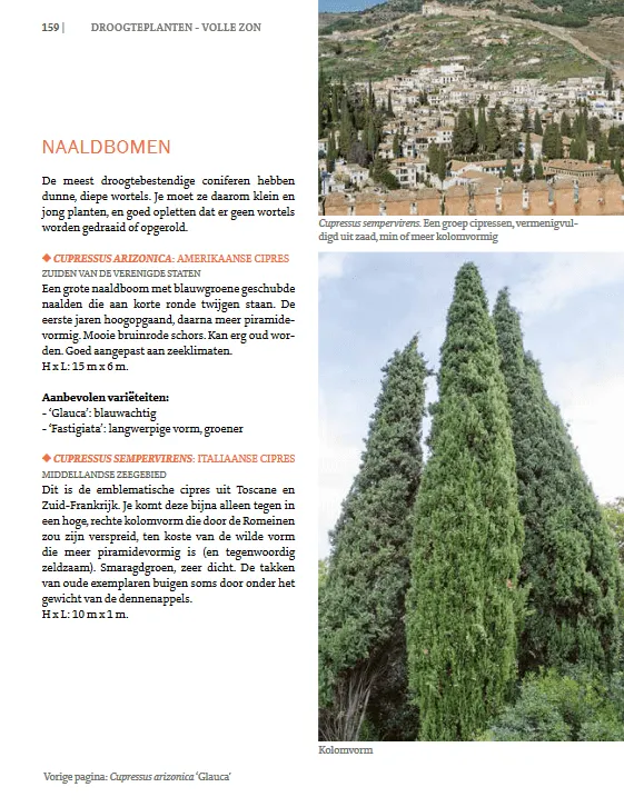 De Tuinen van MergenMetz Droogteplanten boek 450 planten waterbesparend