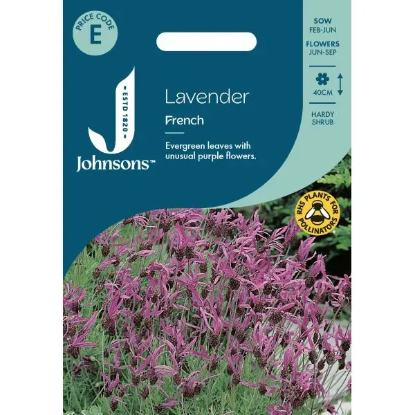 World Botanics Lavender French lavendelzaden paars